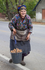 Tiflis  Georgien  eine alte Georgierin verkauft Kartoffeln am Strassenrand
