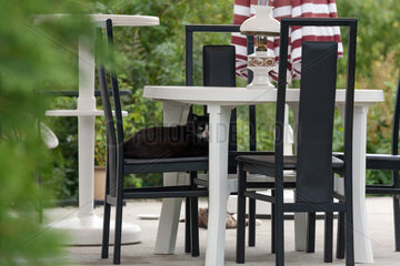 Kuppentin  Deutschland  schwarze Katze lungert auf einem Stuhl unter Tisch auf der Terasse