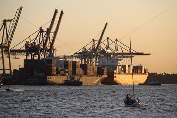 Hamburg  Deutschland  Containerschiffe und Kraene im Freihafen