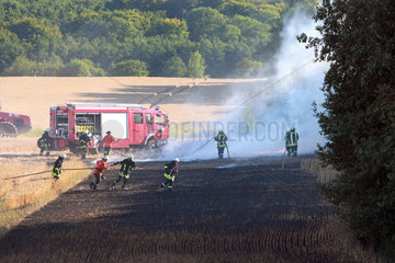 Vorder Bollhagen  Deutschland  Feuerwehrmaenner loeschen einen Feldbrand