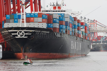 Hamburg  Deutschland  Containerschiffe liegen am Container Terminal Altenwerder CTA