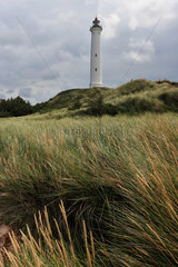 Hvide Sande  Daenemark  Leuchtturm in der Duenenlandschaft