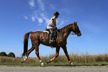 Neustadt (Dosse)  Deutschland  Reiterin und Pferd auf einem Distanzritt