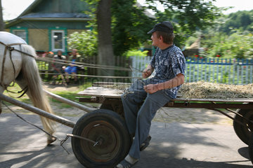 Domsarycy  Weissrussland  ein Junge mit Pferdefuhrwerk
