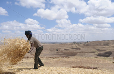 Mangudo  Aethiopien  ein Bauer arbeitet auf dem Feld