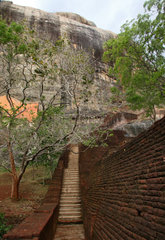Sigiriya  Sri Lanka  Aufstieg zur Felsenfestung von Sirigiya