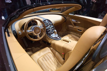 Rembrand Bugatti