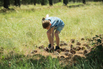 Boy bending over to pick up pine cone
