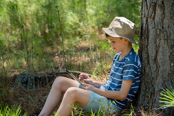 Boy leaning against tree trunk  using digital tablet