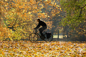 Berlin  Fahrradfahrer im Tiergarten