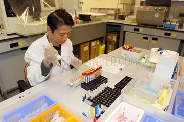 Hong Kong  China  Laborant untersucht eine Urinprobe