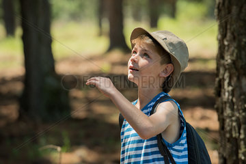 Boy looking up in awe outdoors