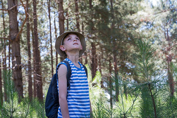 Boy hiking in woods  looking up in awe