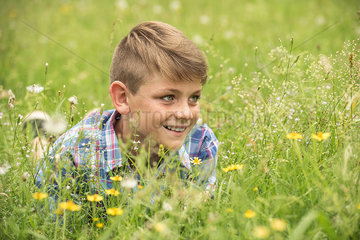 Boy lying in meadow  smiling cheerfully