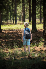 Boy exploring in woods