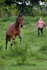 Muehlenbeck  Deutschland  Maedchen versucht ihr Pferd auf der Weide einzufangen