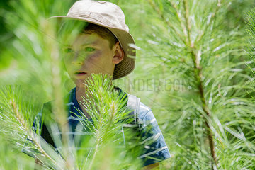 Boy exploring in woods