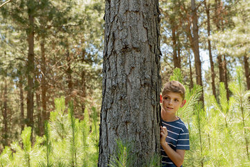 Boy hiding behind tree trunk