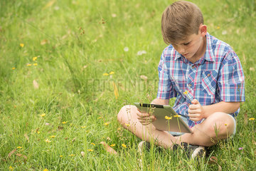 Boy sitting on grass  using digital tablet