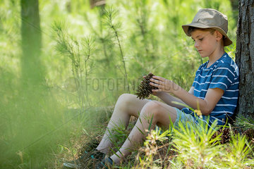 Boy leaning against tree trunk  looking at pine cone