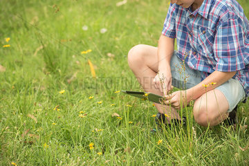 Boy crouching in grass  using digital tablet