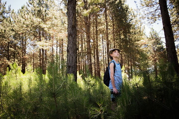 Boy hiking in woods