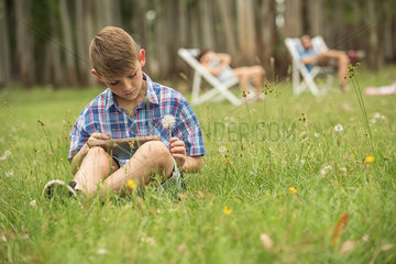 Boy sitting on lawn  using digital tablet and holding dandelion seedhead