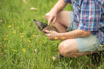 Boy using digital tablet in meadow  cropped