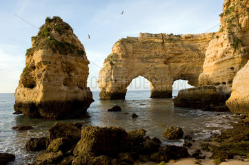 Armacao de Pera  Portugal  Felsen am Praia da Marinha