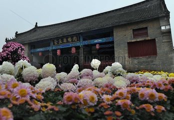 CHINA-HENAN-NEIXIANG-HISTORICAL SITE (CN)