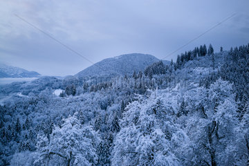 Oberaudorf  Deutschland  Schneelandschaft am Morgen