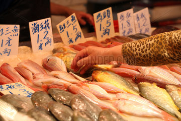 Macau  China  frischer Fisch in der Auslage auf einem Markt