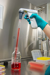 Laborarbeit: Vorbereitung von Test-Kits innerhalb der ELISA-Diagnostik