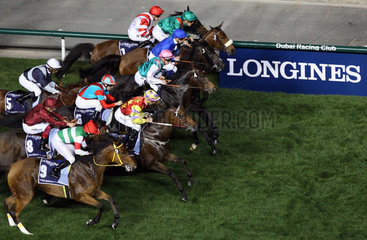 Dubai  Vereinigte Arabische Emirate  Pferde und Jockeys waehrend eines Galopprennens vor einer Werbebande von Longines