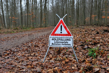 Hinweisschild Holzfaellung an einem Waldweg