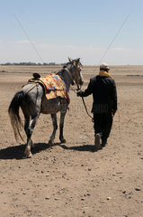 Mangudo  Aethiopien  ein Bauer mit einem Muli auf einem Feld