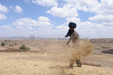 Mangudo  Aethiopien  ein Bauer schuettet Korn auf