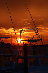 Cape Canaveral  USA  Silhouette  Voegel auf einem Motorboot im Yachthafen bei Sonnenuntergang