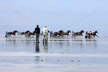 Cuxhaven  Deutschland  Trabrennpferde beim Duhner Wattrennen