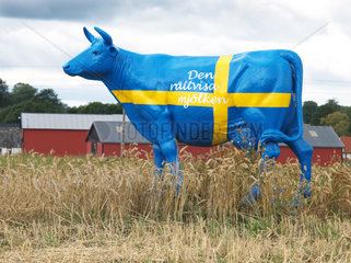 Schonen  Schweden  Kuhmodell in den Landesfarben