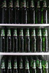 Berlin  Deutschland  Bierflaschen der Marke Carlsberg in einem Kuehlschrank
