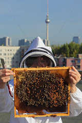 Berlin  Deutschland  Imkerin Erika Mayr kontrolliert eine Brutwabe eines Bienenvolkes auf einem Dach  der Fernsehturm im Hintergrund