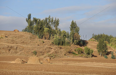 Mangudo  Aethiopien  Huetten und Felder im Hochland