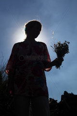 Catania  Italien  Silhouette  Frau haelt einen Blumenstrauss in der Hand