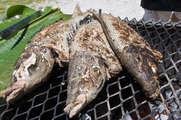 Avatoru  Franzoesisch-Polynesien  Fisch auf dem Grill