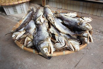 Hong Kong  China  getrocknete Fische in einem Korb