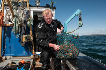 Tobermory  Grossbritannien  Muschelfischer mit seinem Kutter vor der Isle of Mull