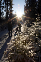 Belloe  Schweden  Frau und Kinder laufen einen verschneiten Waldweg entlang