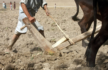 Kunduz  Afghanistan  Bauer pfluegt mit einem Holzpflug