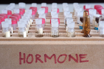 Genua  Italien  Glasampullen mit Hormonen in einer Arztpraxis